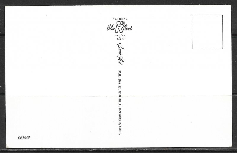 Humour - Latest Type Chain-Letter - [MX-386]