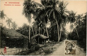 VIETNAM INDOCHINE - Cochinchine - Plantations de cocotiers (190329)