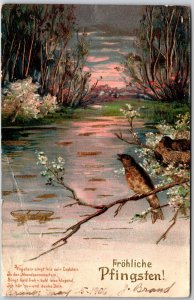 1910 Frohliche Pfingsten Bird Landscaped Sunset Scene Greetings Posted Postcard