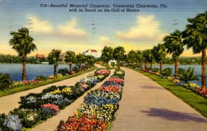 FL - Clearwater. Causeway 