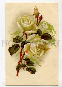 3129152 White ROSES Flowers by C. KLEIN old Russian PC