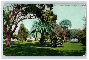 C. 1910 Madison Square, Oakland, California Postcard P222E