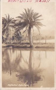 Hawaii Date Palm Reflections Army Soldiers Mail Corporal Lee T Hammack Real P...