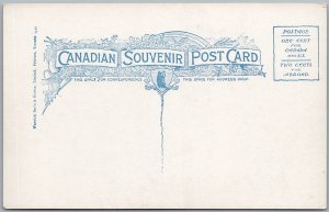 Killarney Manitoba Main Street Unused Postcard H82