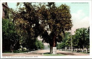 Vtg Cambridge Massachusetts MA The Washington Elm 1910s Detroit Pub Postcard