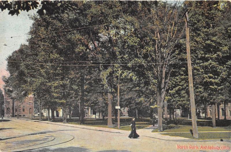 Ashtabula Ohio~North Park~Victorian Lady Crossses Street~c1910 Postcard