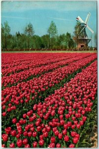 M-27704 Garden of Europe Lisse Netherlands