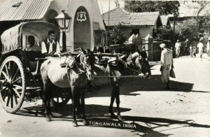 PC CPA INDIA, TONGWALA, STREET SCENE, Vintage REAL PHOTO Postcard (b21859)