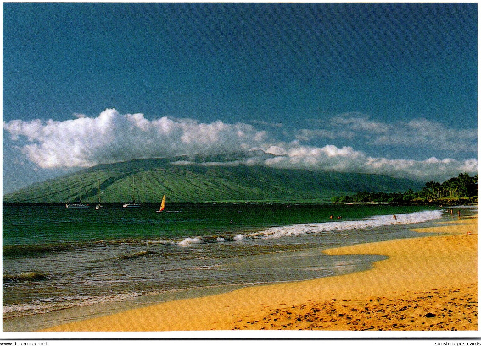 maui postcard