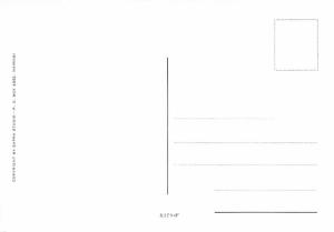 Spicy Avocado Sauce - Recipe