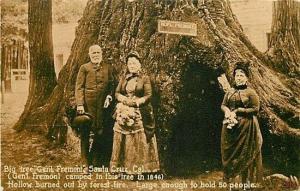 CA, Santa Cruz, California, Big Tree Grove, General Fremont Tree, Souvenir Pub