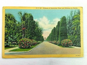 Vintage Postcard 1945 The Singing Tower Mountain Lake Sanctuary Lake Wales FL