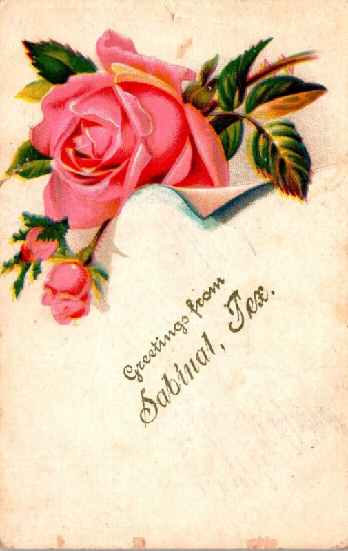Greetings From Sabinal Texas With Roses