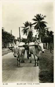 malay malaysia, PENANG, Typical Bullock Cart (1930s) RPPC Postcard