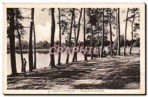 Old Postcard Tronçais Etang de Saint Bonnet