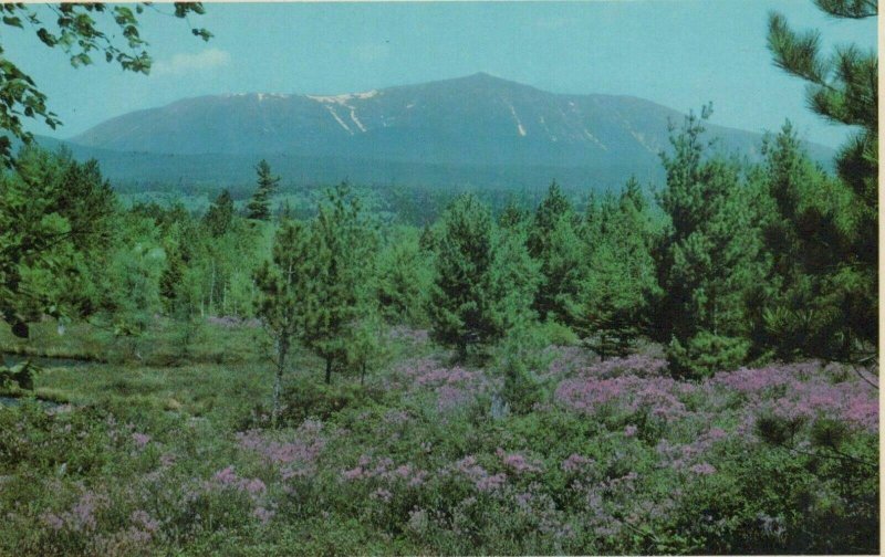 America Postcard - Maine , Springtime, Mt Katahdin, Baxter Wilderness RS22021