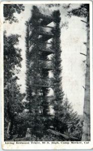 CAMP MEEKER, CA California   Living REDWOOD TOWER Sonoma County  c1910s Postcard