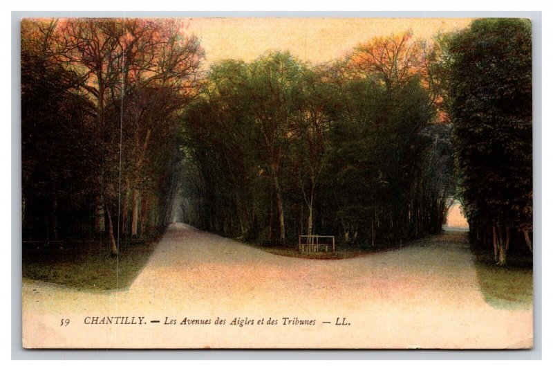 Les Avenues des Aigles et des Tribunes Chantilly France UNP DB Postcard Y12
