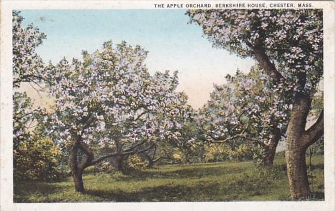 Massachusetts Chester The Berkshire House Apple Orchard Curteich