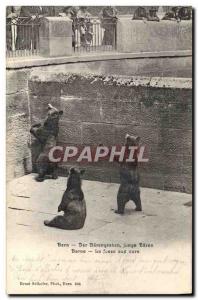 Old Postcard Bern Bear the bear pit