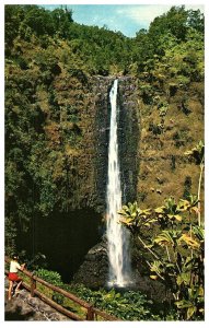 Admiring Akaka Falls Big Island Hawaii Waterfall Postcard