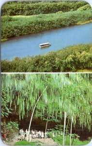 Postcard Hawaii Kauai - Wailua River and Fern Grotto split view