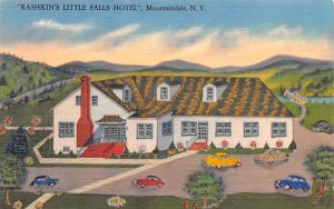 Rashkin's Little Falls Hotel Mountaindale, New York  