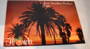 Just Another Perfect Day Florida Postcard Seminole Souvenirs JJ9037