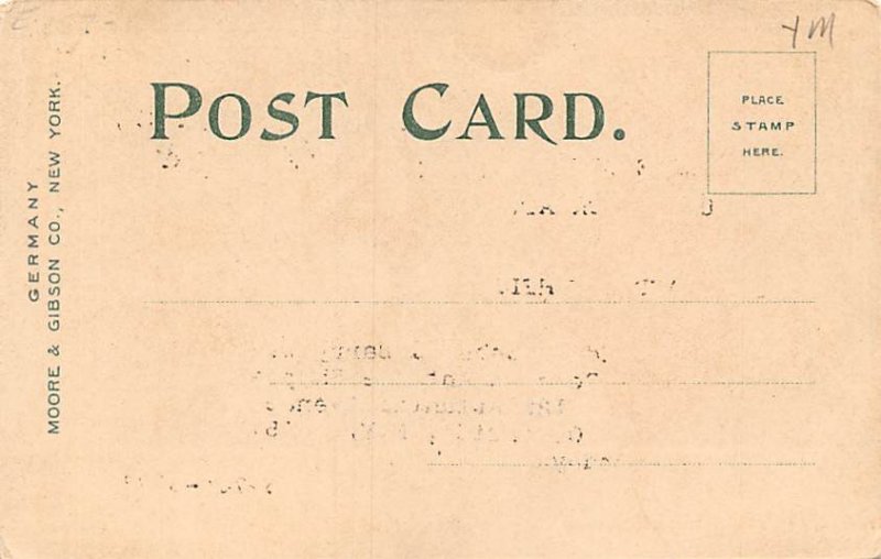 Caught at last, Spider Web Fantasy 