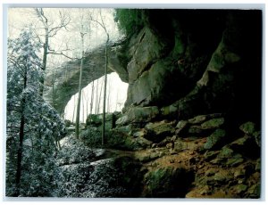 c1950's James Archambeault's Kentucky Grays Arch Red River Gorge Postcard