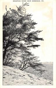 Morehead Kentucky Mountain Scene Antique Postcard K83089