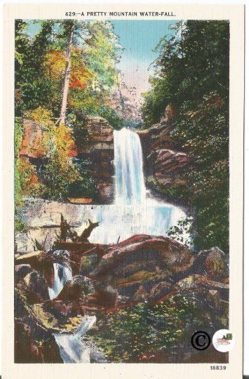 A Pretty Mountain Water-Fall Asheville Post Card Co North Carolina Vintage Linen