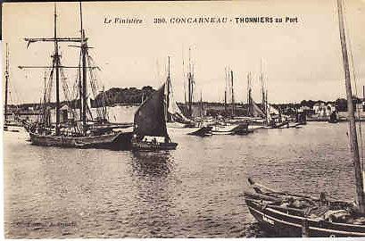 France - Concarneau - Thonniers au Port.  Boats in Harbor