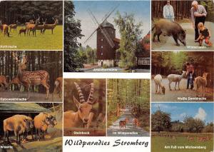 B36788 Animals Animaux Wildparadies Stromberg  germany windmill