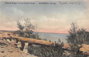 Adamana Arizona Natural Bridge in Petrified Forest antique pc ZA440859