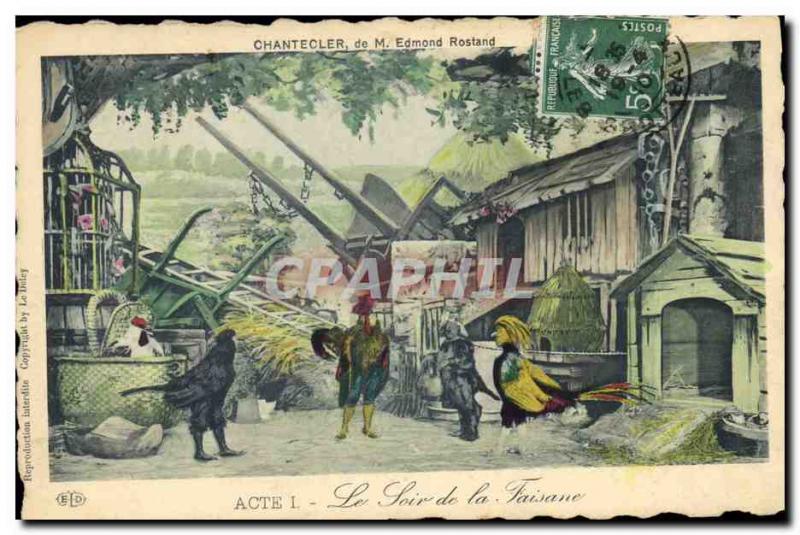 Old Postcard Theater Rostand Chantecler Coq the evening of the pheasant