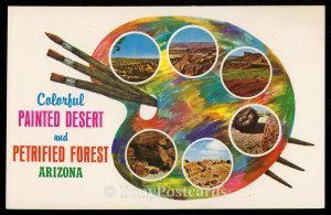 Colorful Painted Desert and Petrified Forest