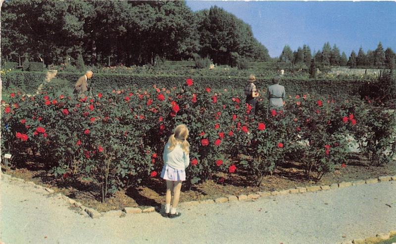 Tulsa Oklahoma~Woodward Park-Tulsa Rose Garden~Little Girl Smelling Flowers~1953