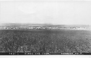 J35/ Norwood Colorado RPPC Postcard c1910 View of Town Homes Stores 338