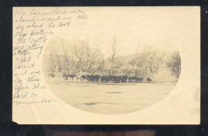 RPPC WELLFLEET NEBRASKA CARRUTHERS FARM CATTLE NORTH PLATTE REAL PHOTO POSTCARD