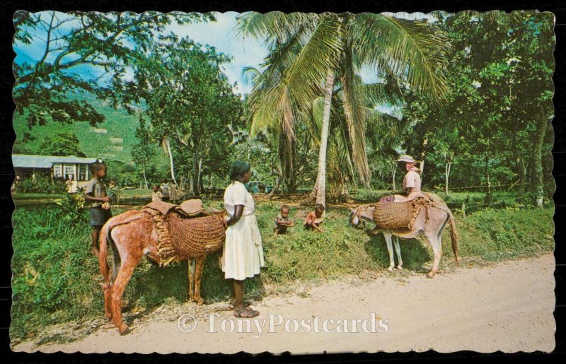 On the way to the market