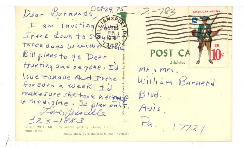 Humor - Being caught with a bear behind