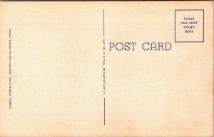 Vtg 1940s The Esperson Buildings Mellie Niels Houston Texas TX Unused Postcard