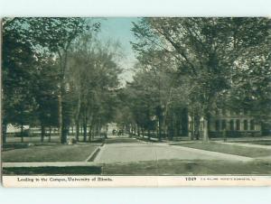 Divided-Back UNIVERSITY OF ILLINOIS ROAD TO CAMPUS Champaign Illinois IL v3369