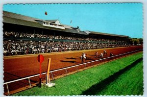 LEXINGTON, Kentucky KY ~ Horses Race KEENELAND RACE COURSE 4 x 6 Postcard