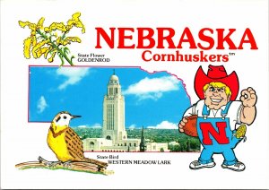 VINTAGE CONTINENTAL SIZE POSTCARD NEBRASKA CORNHUSKERS HUMOR