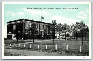 Walnut Ridge Arkansas~High & Grammar Schools Bldg~Blue Sky~Vintage Postcard
