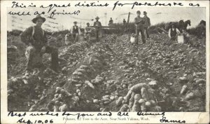 Potato Farmers Near North Yakima Washington WA c1910 Postcard