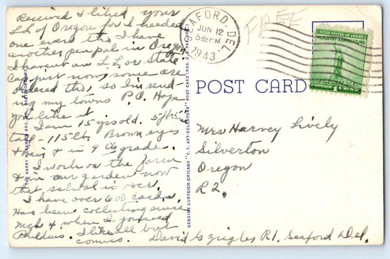 c1943 Seaford Delaware Vintage Postcard U. S. Post Office Front Building Posted
