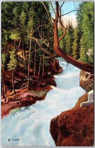 Wyoming, Lake Creek Rapids, Red Lodge HighRoad, Yellowstone Nat'l Park, Postcard